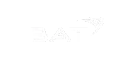 Bat